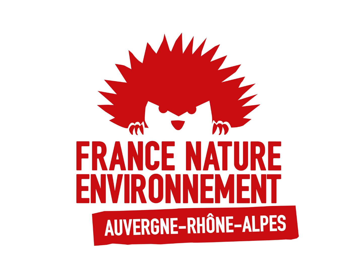 Logo FNE AURA