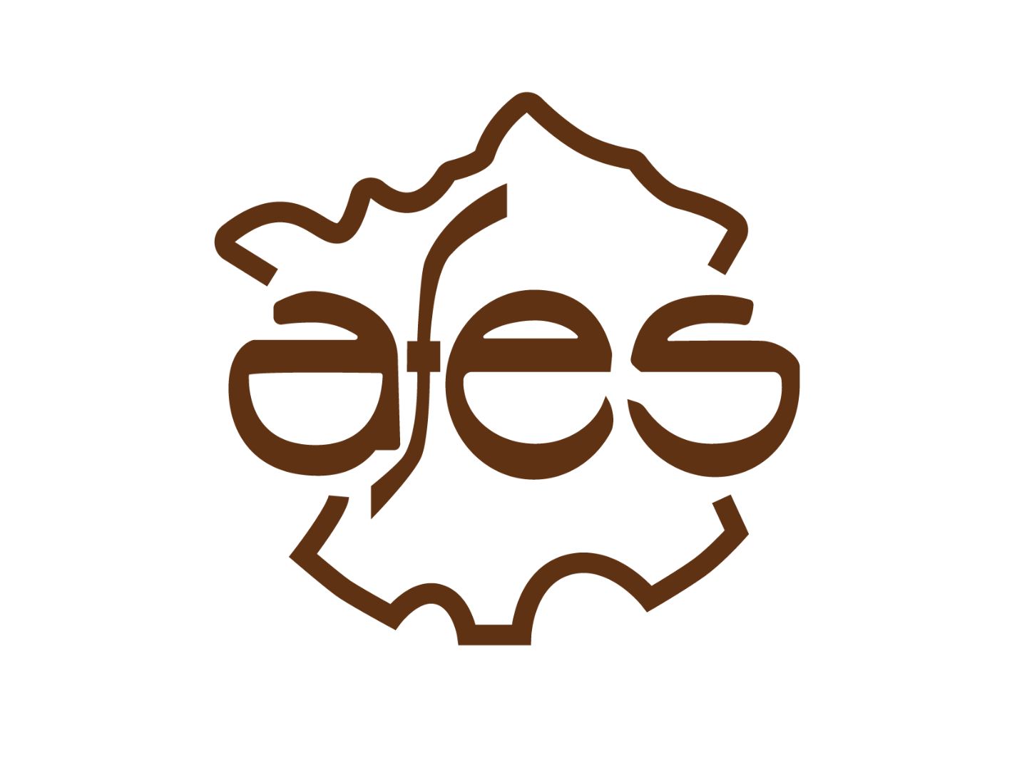 Logo AFES