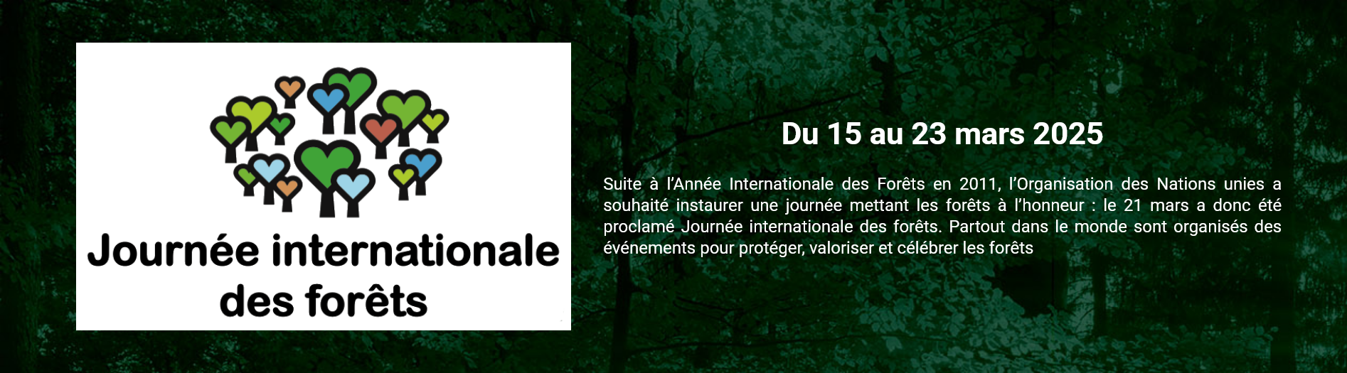 https://www.journee-internationale-des-forets.fr/presentation/programme/