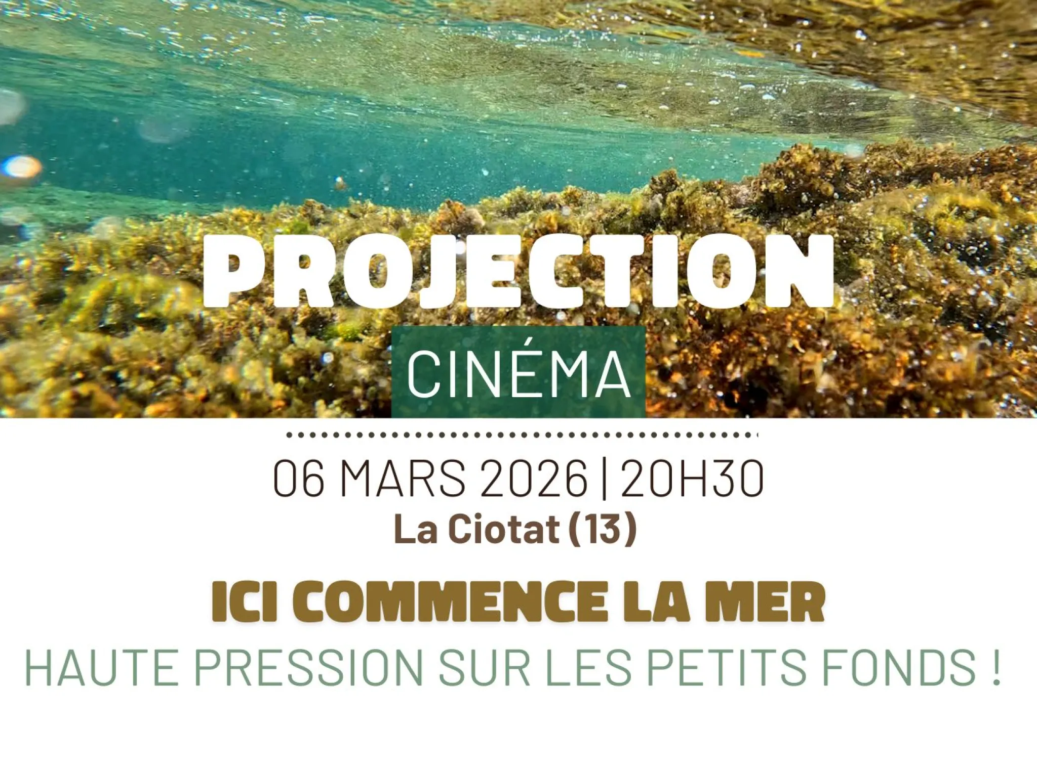projection film