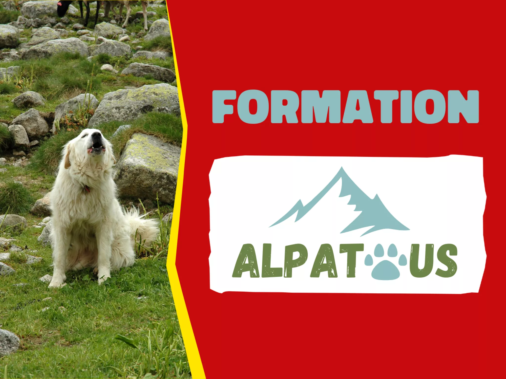Invitation formation ALPATOUS 2024