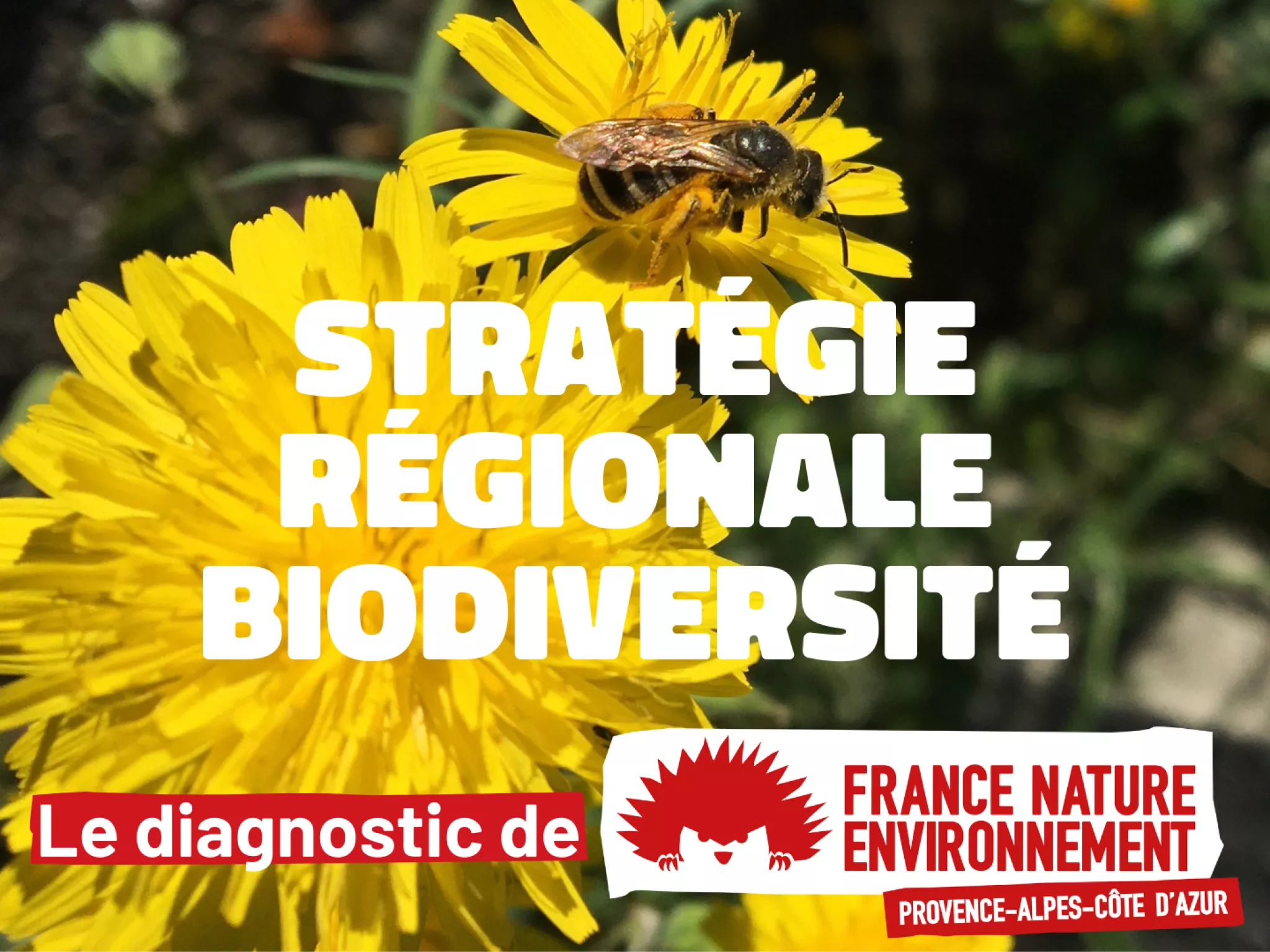 stratégie régionale biodiv