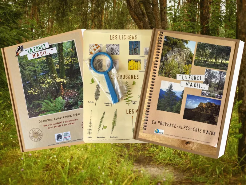 Visuel Forêt m'a dit