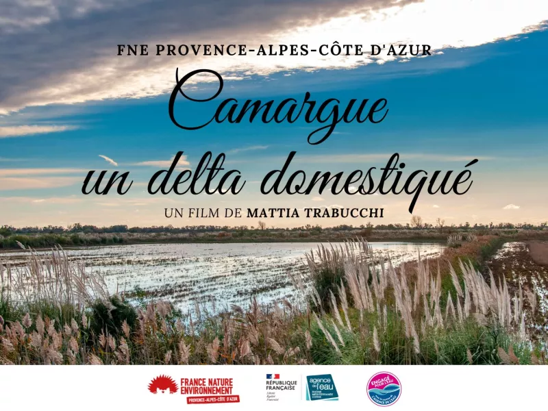 Affiche "Camargue"