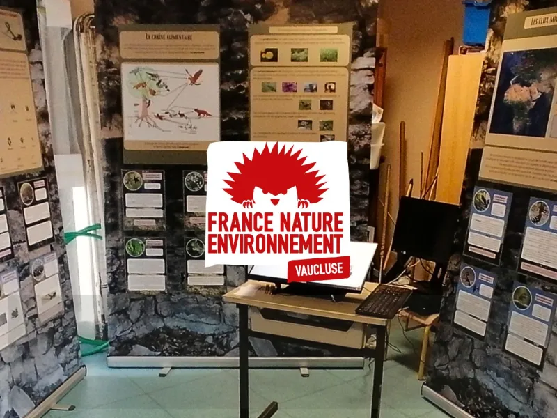 Visuel Escape game 84