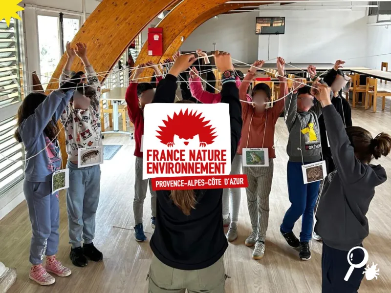 Visuel Chaînes alimentaires