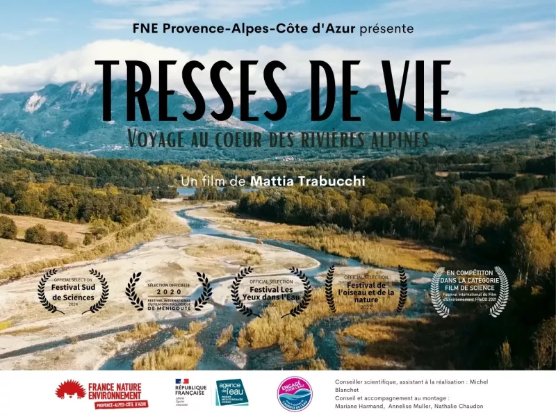 Affiche "Tresses de vie"