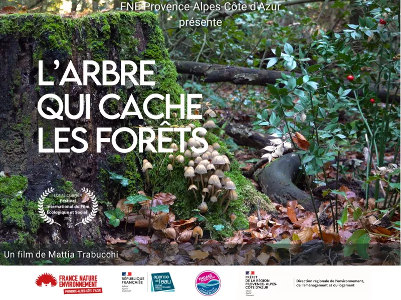L'arbre qui cache les forêts